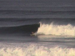 Surf Wise 10 Elite Advanced